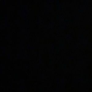 Meet your Posher, Dylan